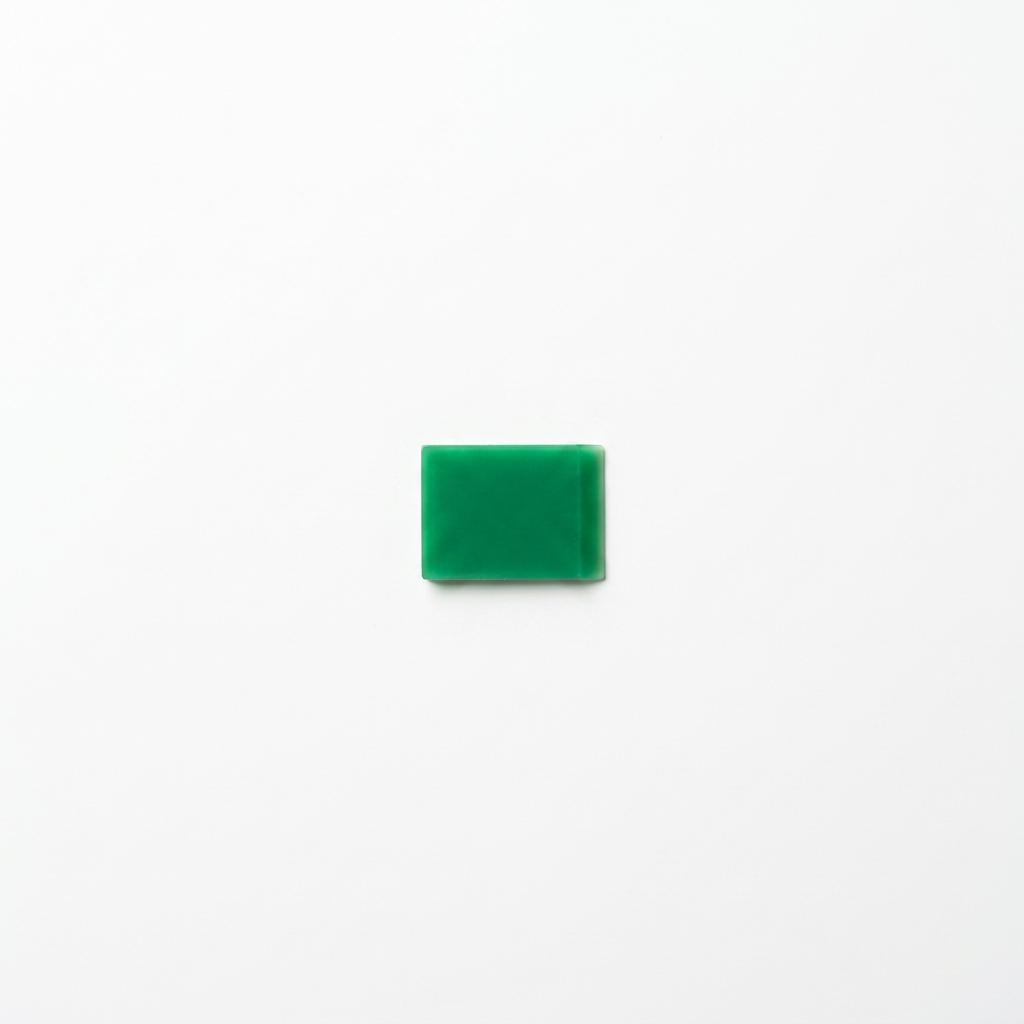 Squeegee